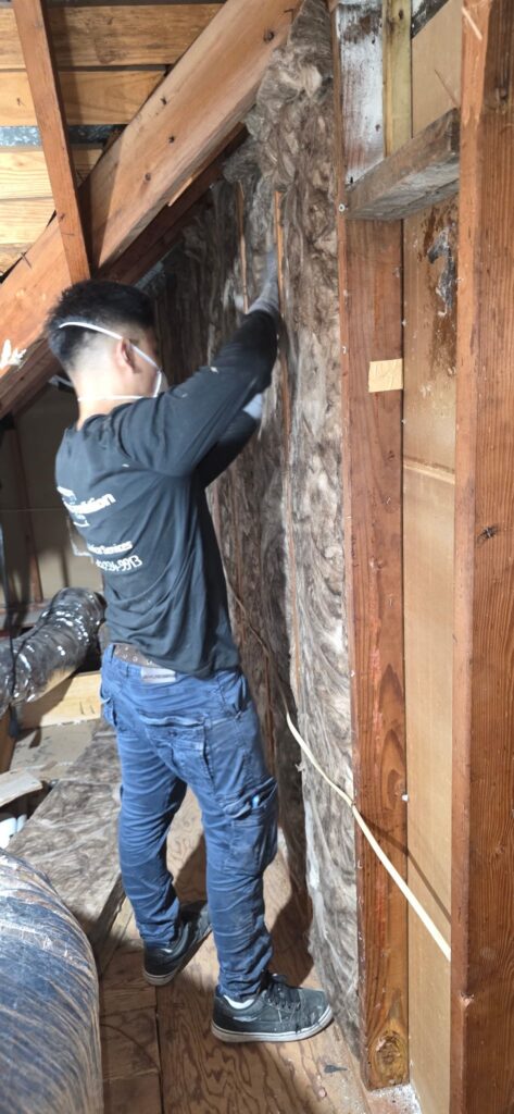 Batt Insulation Service in Texas