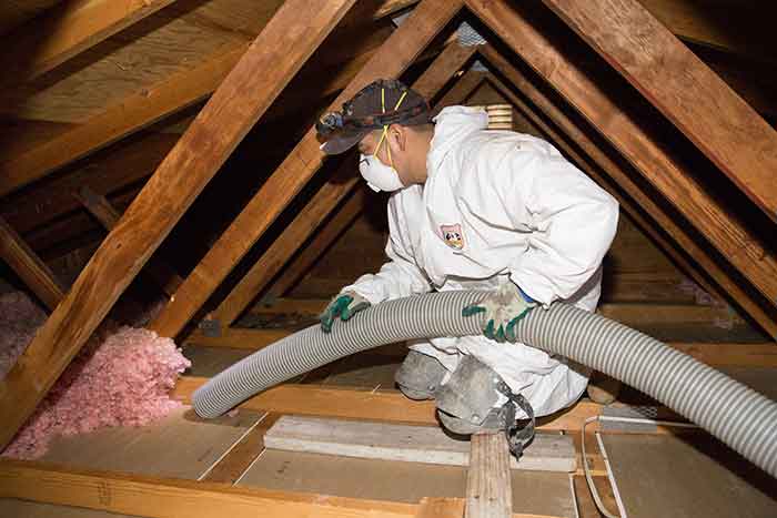 Insulation Removal Service